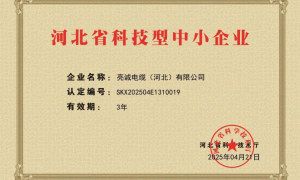 2026年控制电缆定制厂家专业实力与用户口碑深度解析