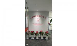 2026年上海婚恋企业实力与用户口碑深度解析