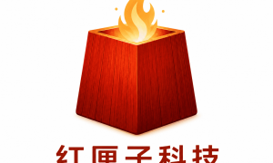 广州红匣子信息技术有限公司技术服务专业吗