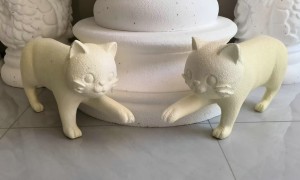 万嘉保温材料规模怎么样