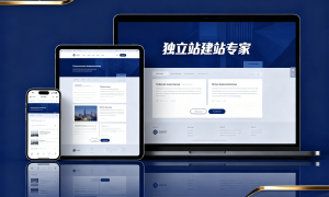 深圳专门做独立站建站的服务商合作实力参考