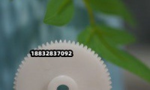 2026年江苏知名的尼龙轮专业制造商、链轮尼龙轮供应商筛选名录