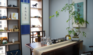 孙海燕律师详细介绍，专业实力与用户口碑深度解析