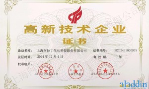 上海阿拉丁Aladdin技术实力如何
