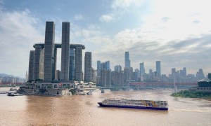 2026年正规的三峡游轮船票服务商，支持宠物托运服务行业全景分析