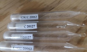 2026年标准样品行情汇总：科展生物提供多型号标准物质，适配第三方检测实验室采购