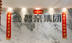 普亲养老规模怎么样