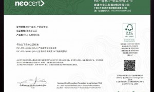 金马包装实力如何，规模大不大