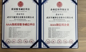 2026年靠谱的抖音账号代运营服务商服务质量评选
