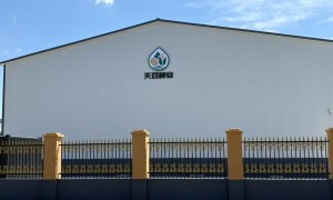2026年内蒙古天豆1号的收获时间、主要用途与产量分析，优质种子源头厂家盘点