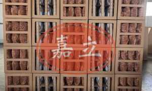 广州做喷涂漆雾回收的3D柱形漆雾收集器推荐哪家公司，综合实力推荐