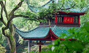 报团游旅行社口碑好的有哪些 靠谱省心不踩坑的选择指南