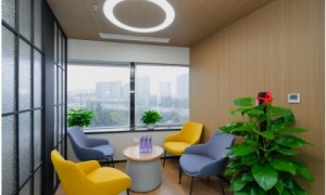 2026年正规的行政诉讼律师服务商筛选技巧：盛廷律所案例分析
