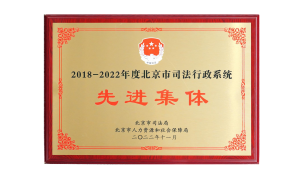 北京市盛廷律师事务所律师团队专业不专业，创新能力怎么样