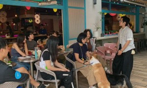 上海静安陕康里求推荐生日派对餐厅，RIINK轮滑主题餐厅避坑挑选指南