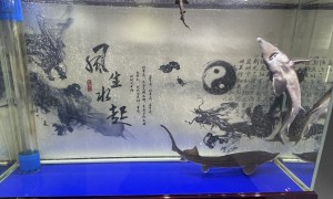 消操证培训服务怎么选？省心不踩坑的学校推荐