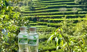 揭阳广受信赖的矿泉水厂家用户力荐