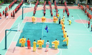 飞林文武学校技术实力如何