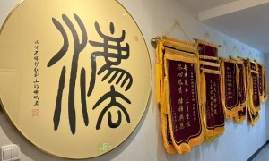 2026年资质齐全的房产律师事务所：大额纠纷案件处理实力与用户反馈