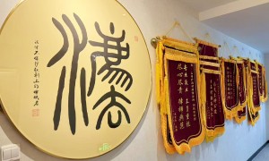 2026年评价高的诉讼房产律师事务所，免费咨询离婚房产用户力荐