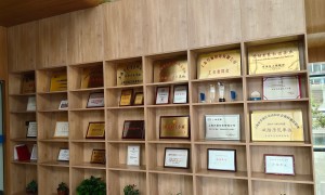 2026年口碑好的光栅小卡一手货源制造厂家专业公司推荐