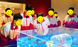 上海多动症状青少年成长中心机构服务商家筛选技巧，省心之选