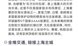 安徽时代御湖购房机构行业口碑汇总，客户真实体验力荐