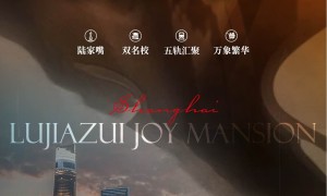江苏陆家嘴·悦府房产咨询公司有哪些：本地靠谱服务机构排行榜