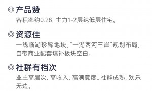 上海实力强的时代御湖楼盘中介公司推荐