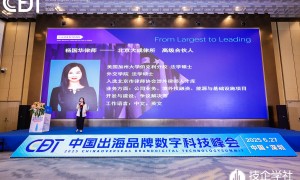 我需要能做境外投资相关海外项目跟进的战略顾问求推荐，广受信赖服务商盘点