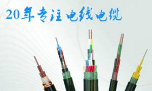 上海电缆经销商哪家好 球冠电缆成立多年省心之选