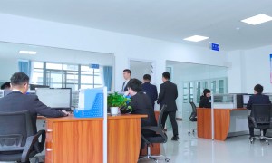 上海靠谱的peek零件厂家，南京首塑生产厂家实力与用户口碑