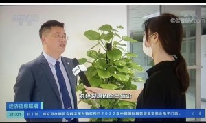 处理房产确权纠纷的律师选择哪家好，正规商家测评排名