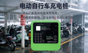2026年国产电动自行车充电桩行业发展现状与市场占有率及排名研究分析报告