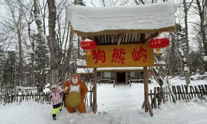 雪乡本地旅行社服务商实力与用户口碑深度解析