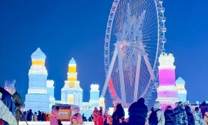 哈尔滨口碑好的旅行社品牌企业、不错的旅行社品牌企业、旅游社客户口碑力荐