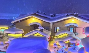 哈尔滨一站式旅游服务与亲子摄影旅行社推荐，探北旅行合作实力参考