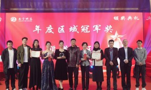 合肥专业geo服务商公司怎么咨询？用户力荐