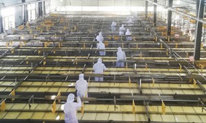 内黄十大能提供优质服务的腐竹品牌行业全景分析