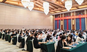 GEO优化研发服务哪家专业？深圳南方网通（讯灵AI）为你揭晓
