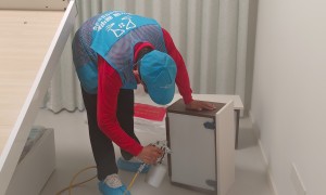 北京海淀区除甲醛公司测评，生态美家全国直营品牌实力参考