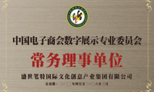 天津盛世笔特国际文化创意产业集团宣传实力怎么样