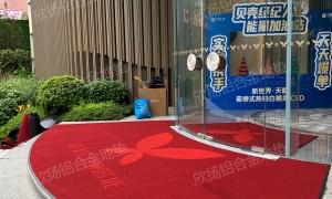2026年正规的进门地垫源头厂家推荐，资质齐全广受信赖