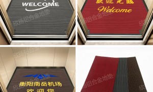 2026年进门地垫厂家发展现状与市场占有率排名研究报告