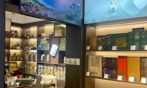 2026年8月优选：口碑好的西湖龙井茶商行综合实力推荐
