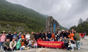 2026年成立十年以上的税务审计公司哪个强，合作实力参考