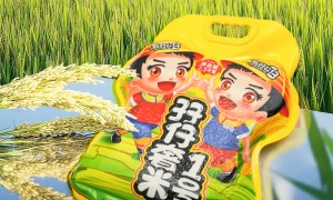 2026年云浮知名的粮食加工厂供应商，正规源头的生产厂家实力盘点