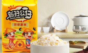 中山大米加工厂综合实力推荐：用料扎实的源头厂家盘点