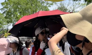 启程国旅服务怎么样，性价比高吗