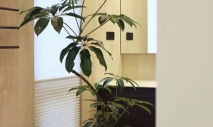 北京智能灯光设计系统服务商有哪些，挑选全攻略与综合实力推荐